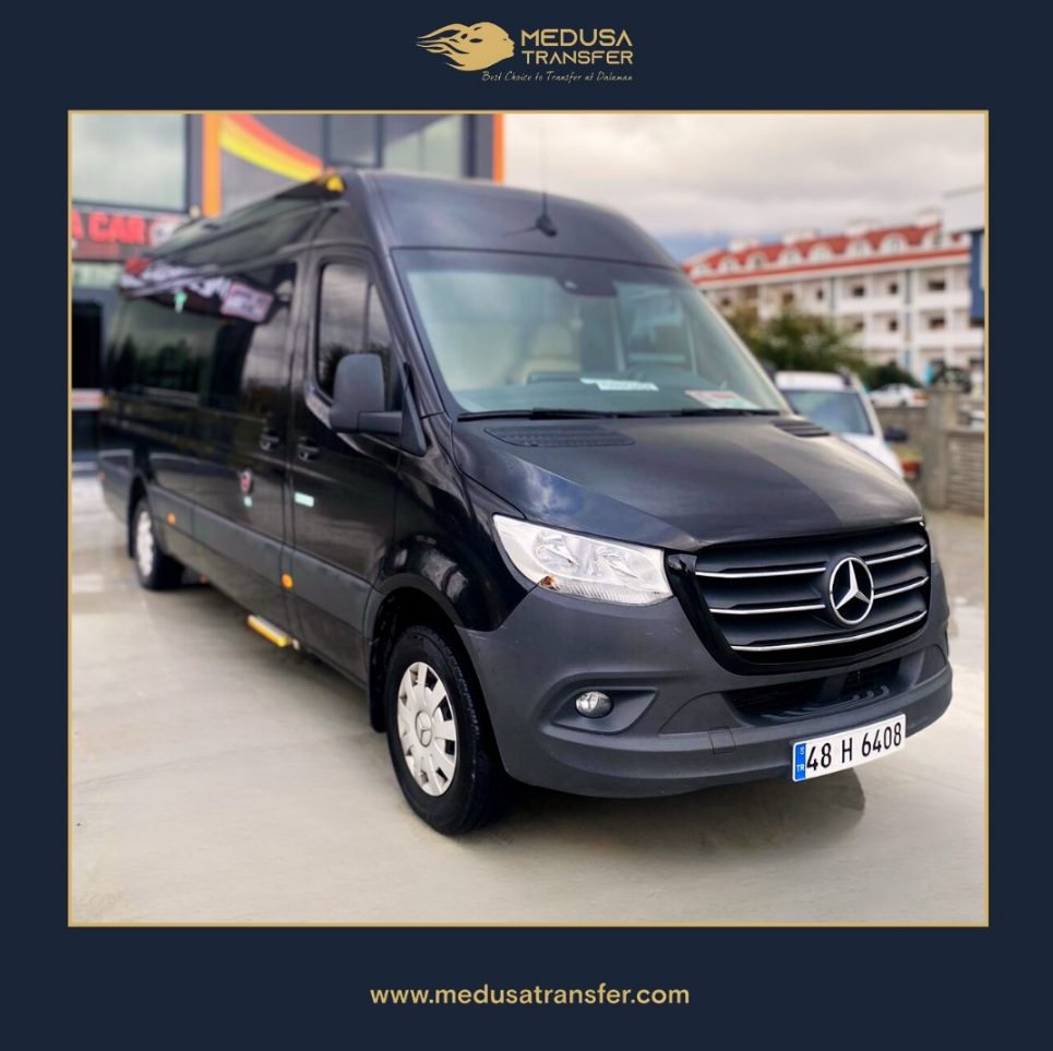 Mercedes Sprinter VIP 